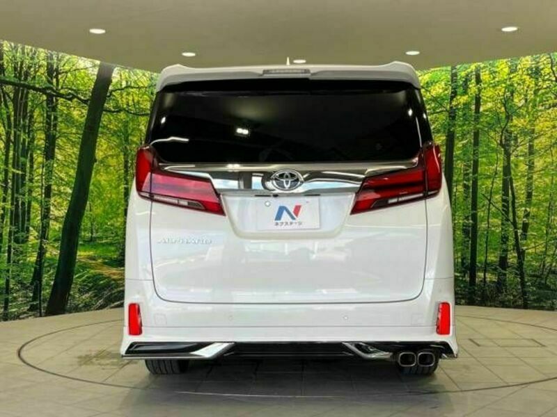 ALPHARD-15