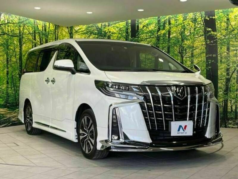 ALPHARD-16