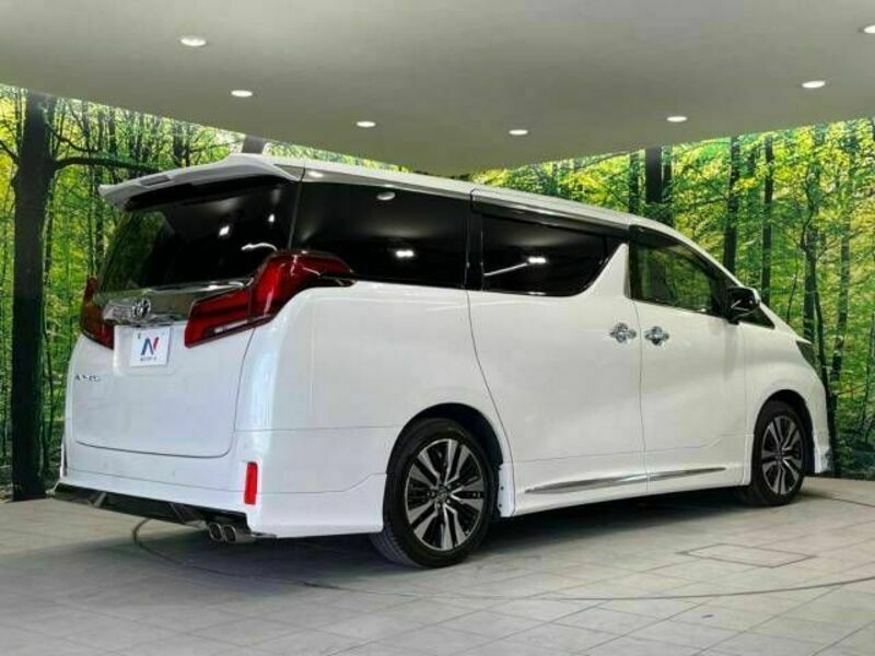 ALPHARD-17