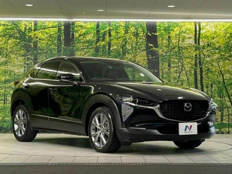 CX-30-16