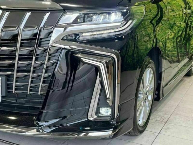 ALPHARD-12