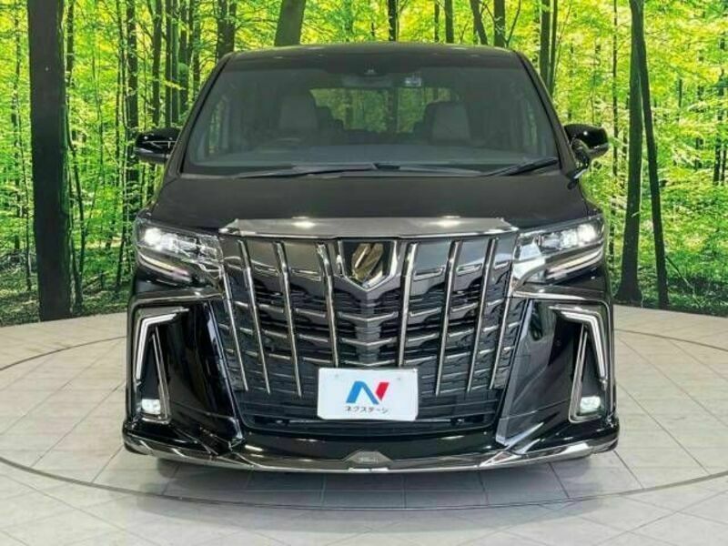 ALPHARD-14