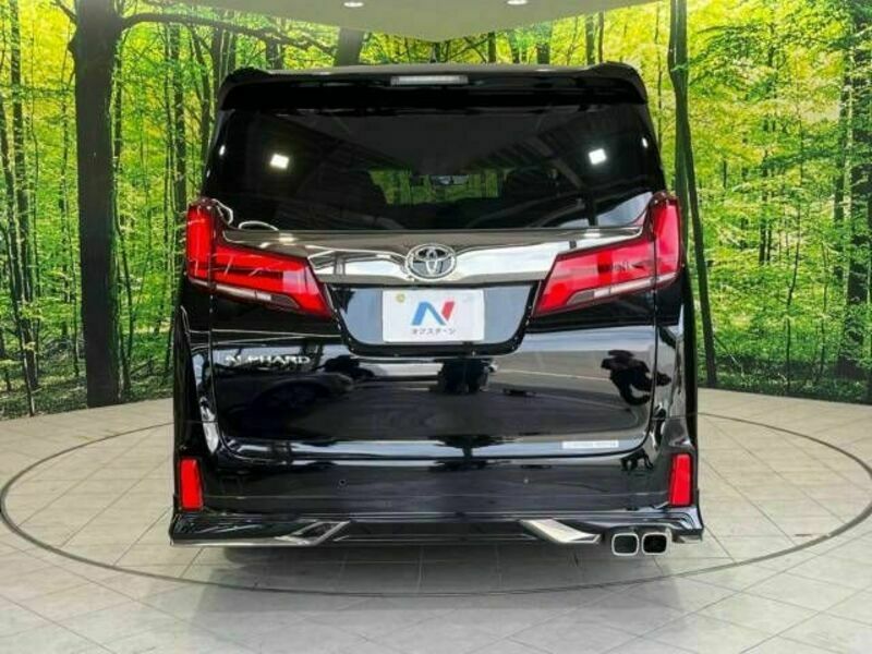 ALPHARD-15