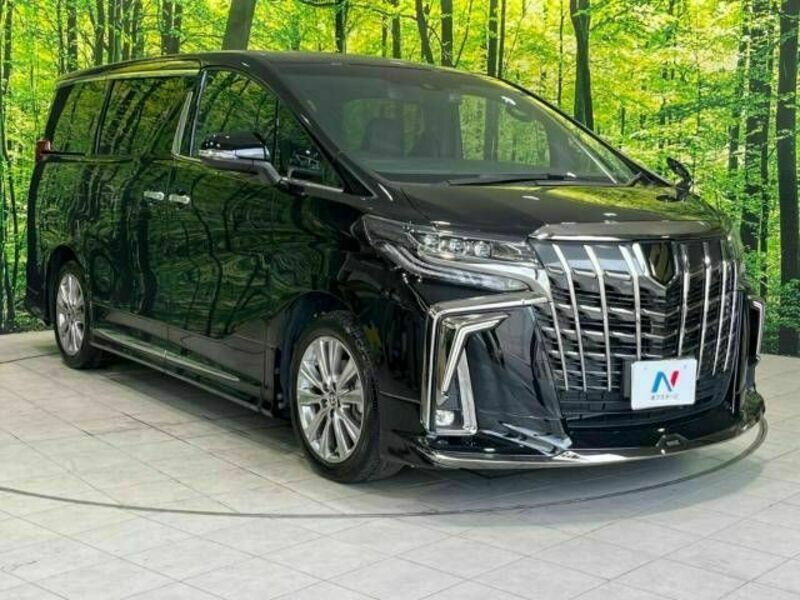 ALPHARD-16