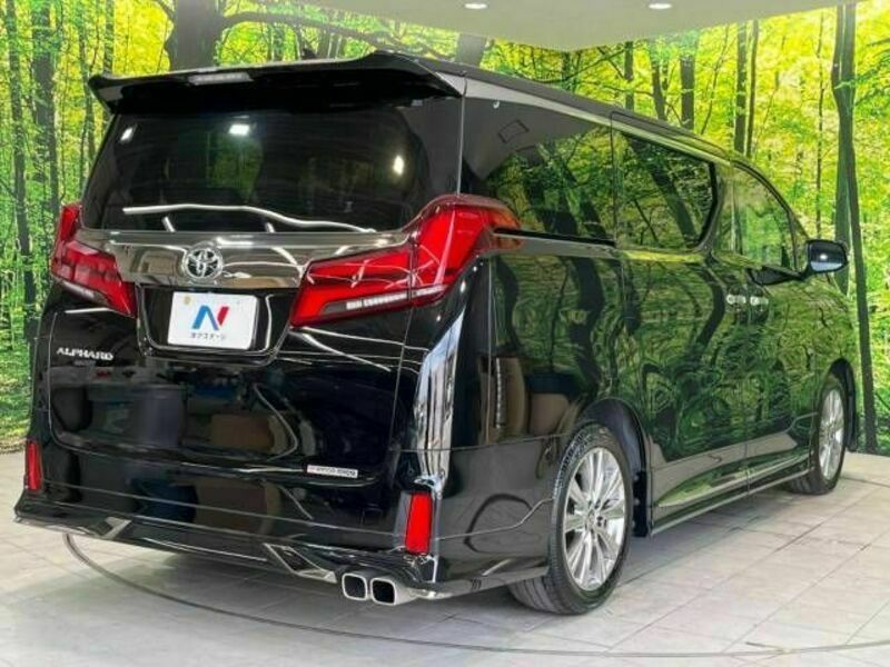 ALPHARD-17