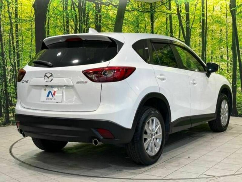 CX-5-17