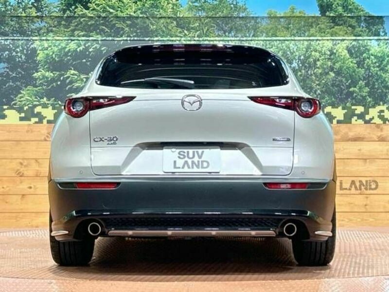 CX-30-15