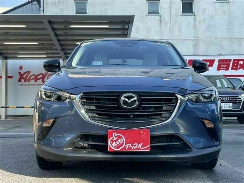 CX-3-1