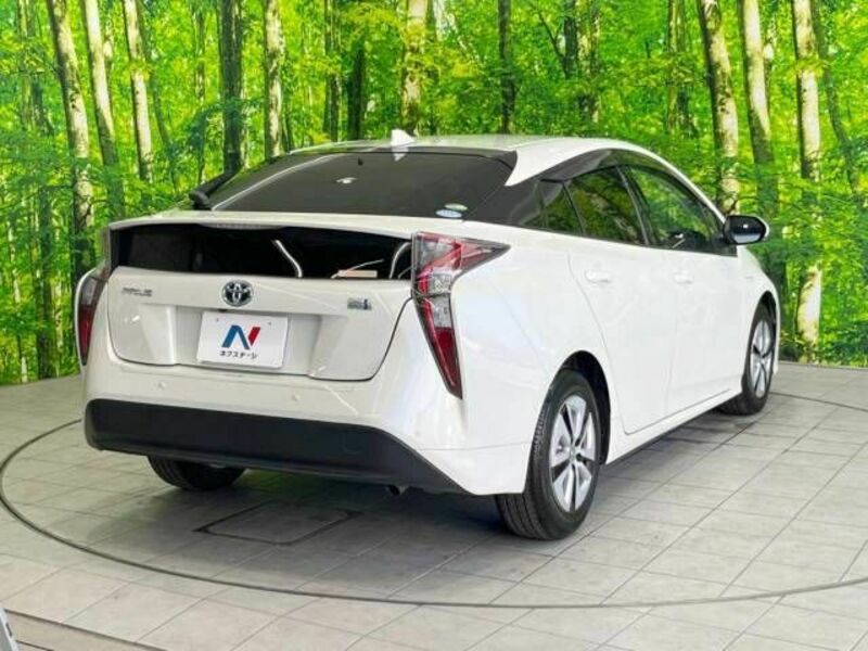 PRIUS-19