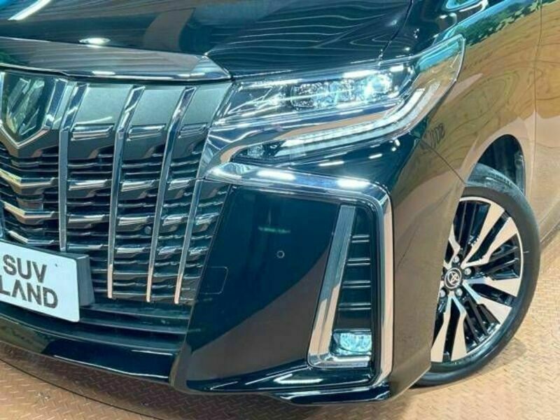 ALPHARD-13