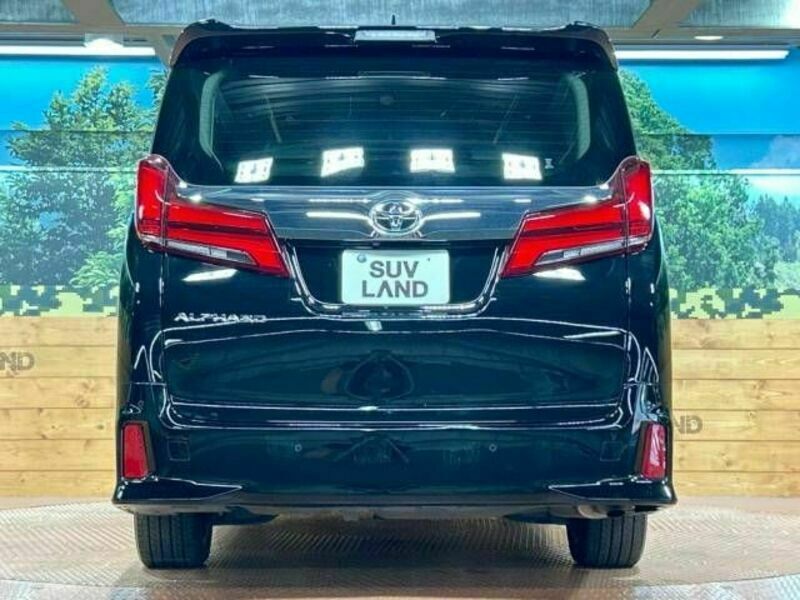 ALPHARD-16