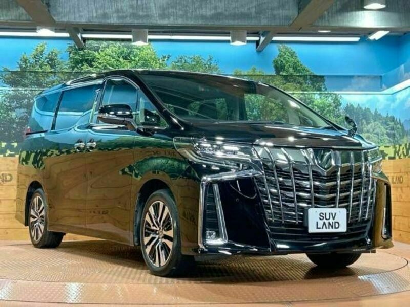 ALPHARD-17