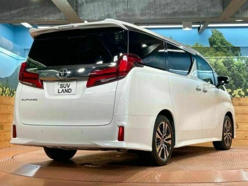 ALPHARD-17