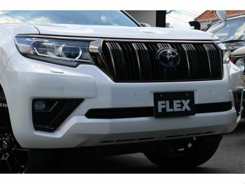 LAND CRUISER PRADO-17