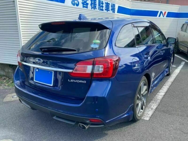 LEVORG-10