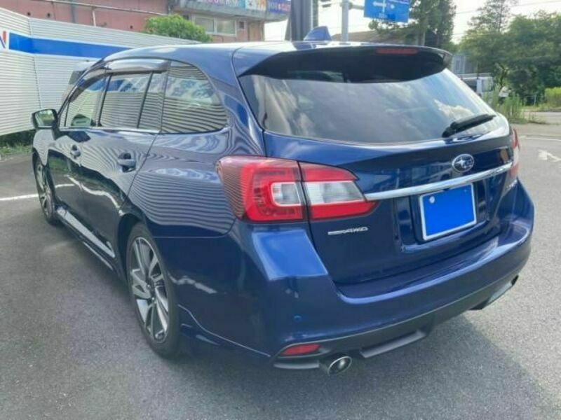 LEVORG-12