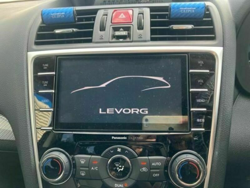 LEVORG-19