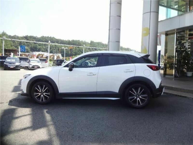 CX-3-3