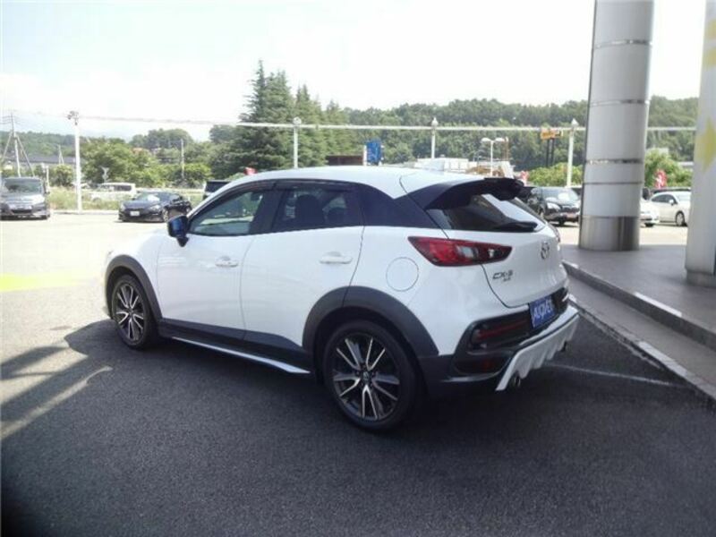 CX-3-6