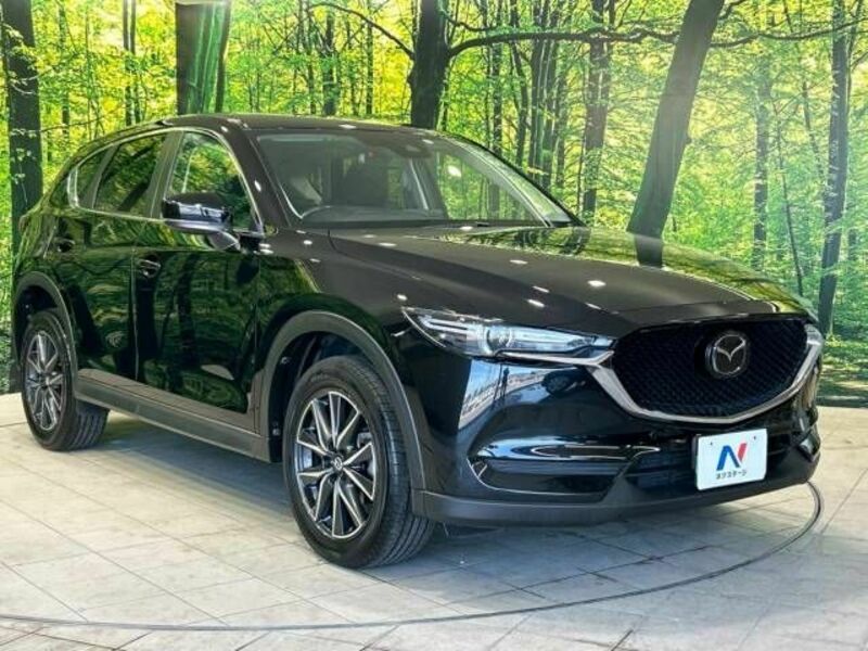 CX-5-16