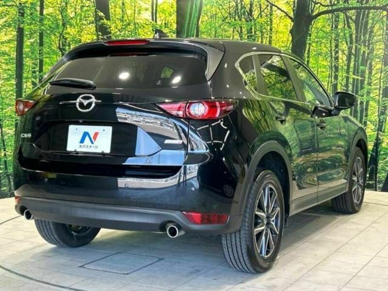 CX-5-17