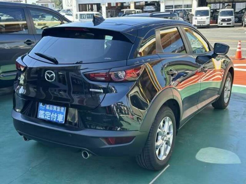 CX-3-11