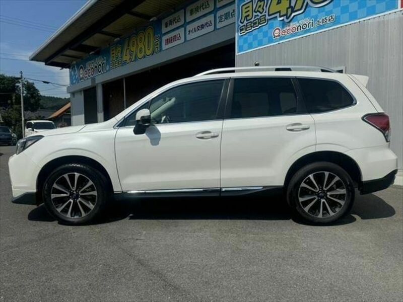 FORESTER-20