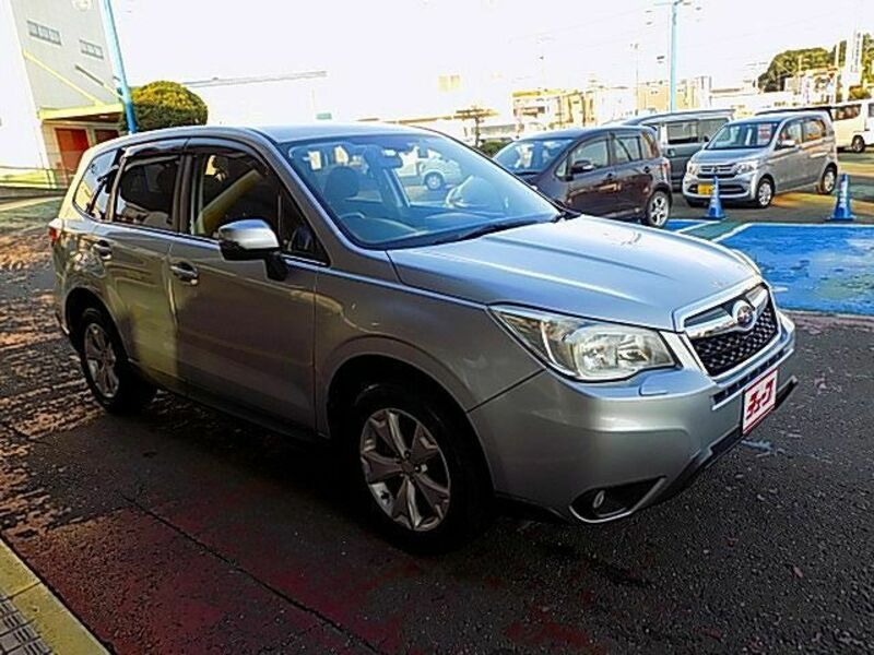 FORESTER-6