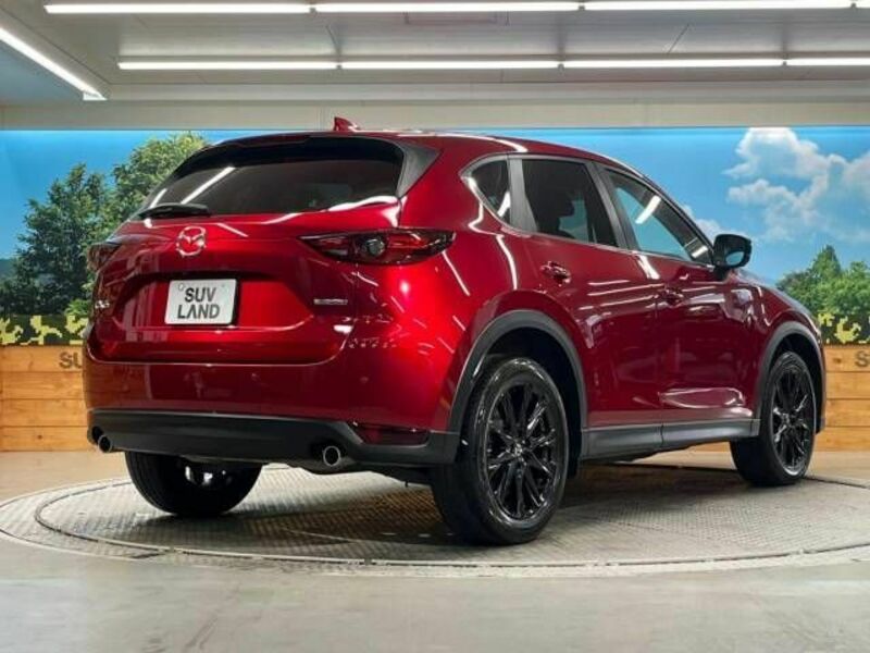 CX-5-17