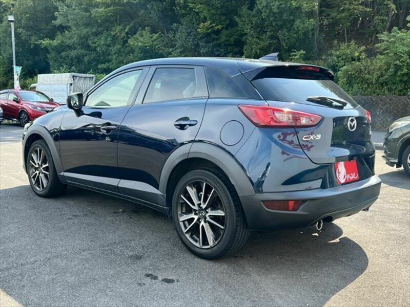 CX-3-8