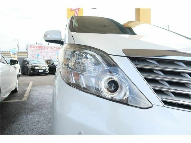 ALPHARD-41