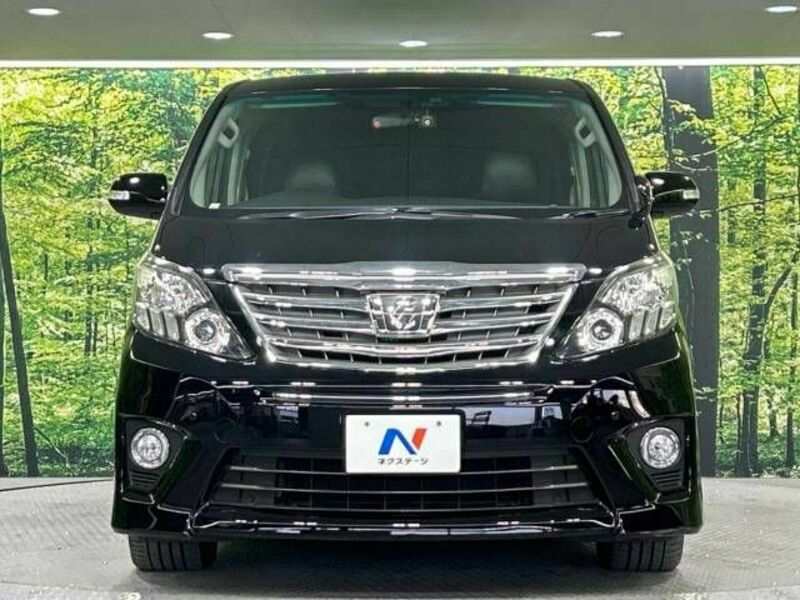 ALPHARD-14