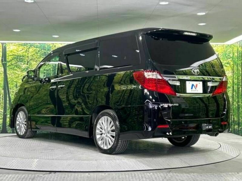 ALPHARD-17