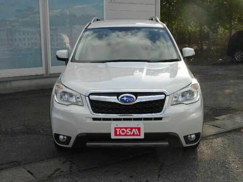 FORESTER-19