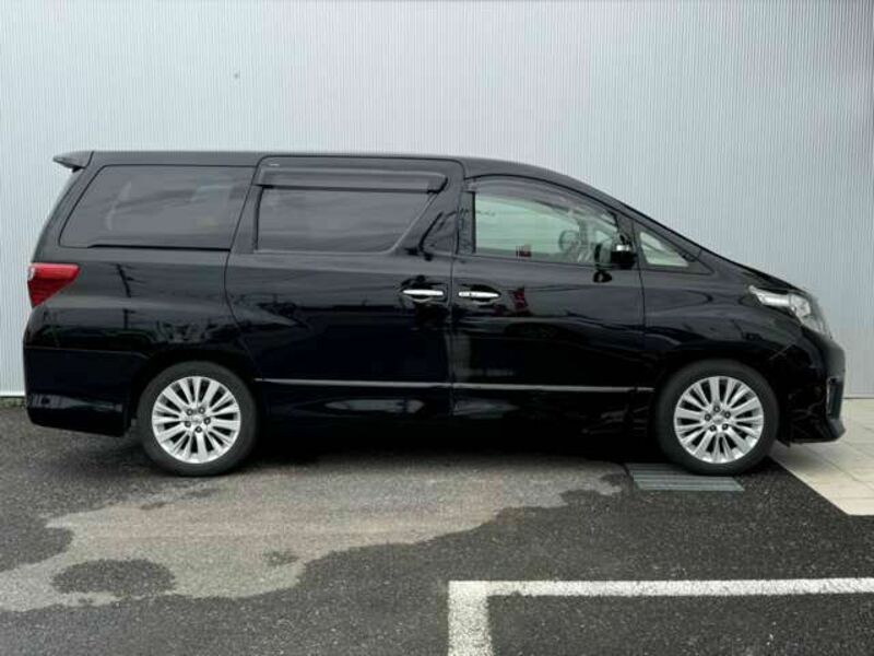 ALPHARD-10