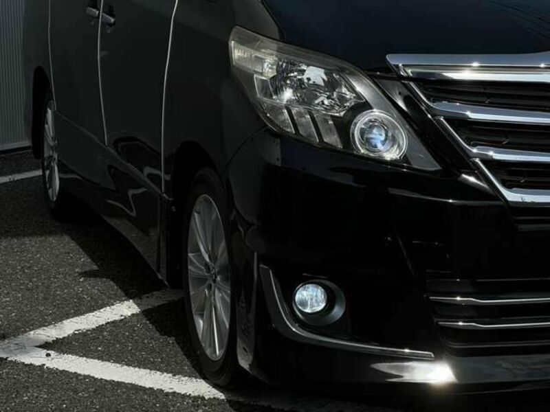 ALPHARD-12