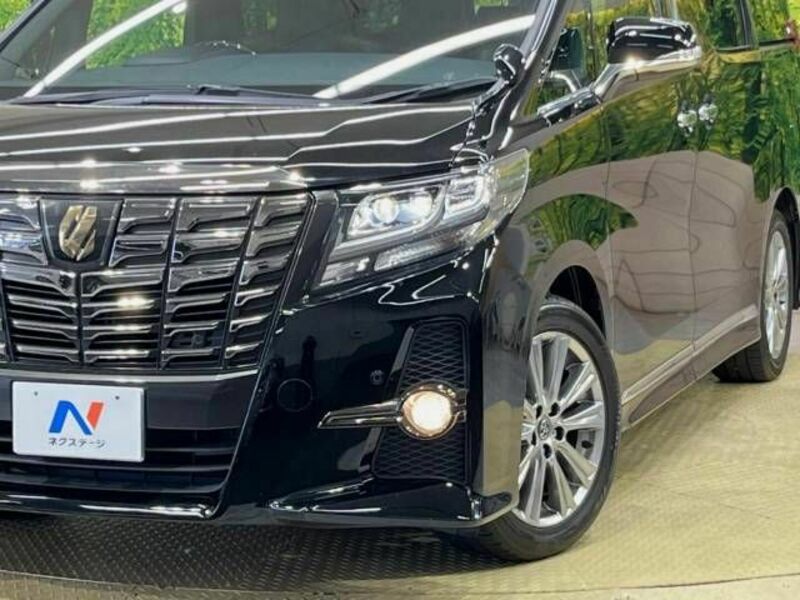 ALPHARD-13