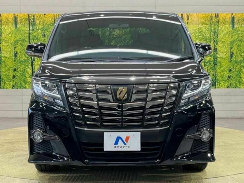 ALPHARD-15