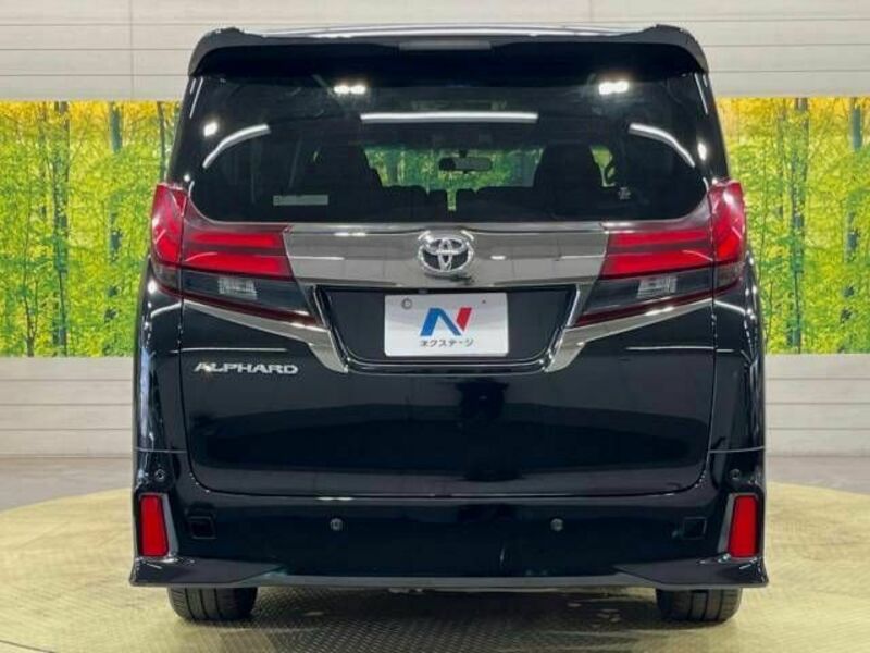 ALPHARD-16