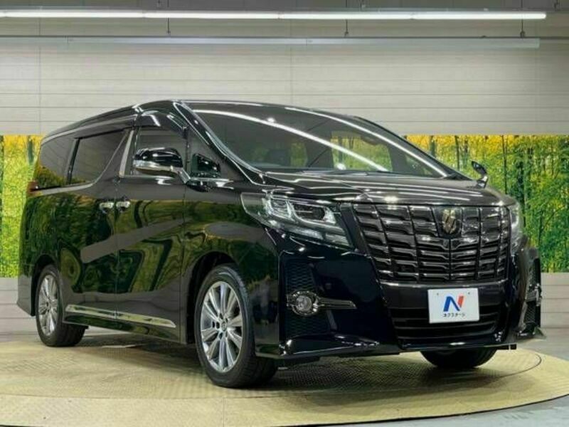 ALPHARD-17