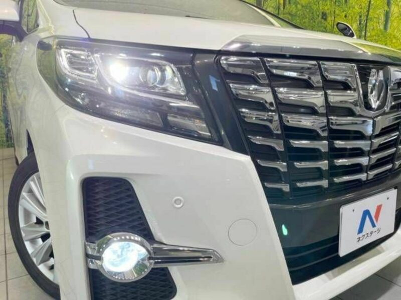 ALPHARD-13