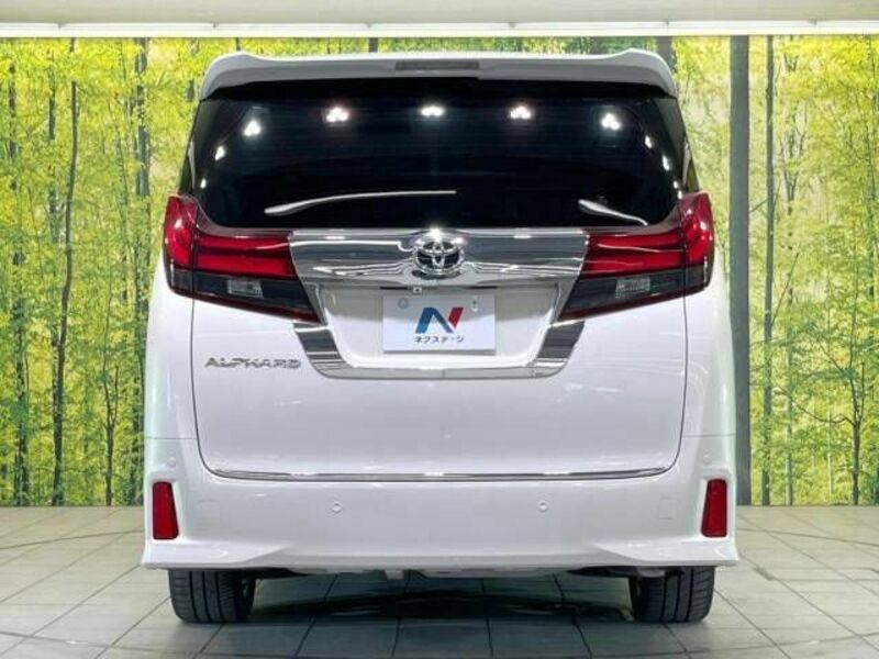 ALPHARD-16