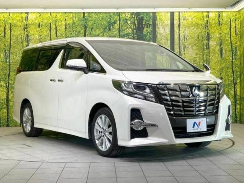 ALPHARD-17