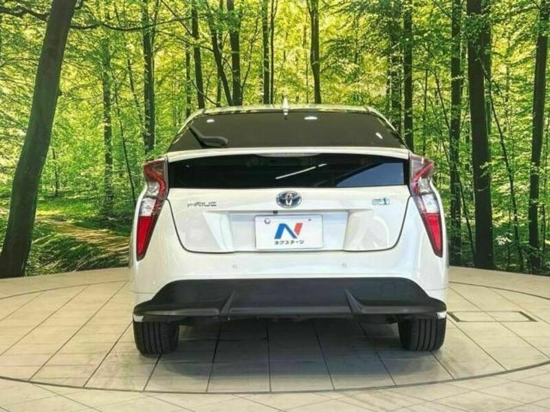 PRIUS-15