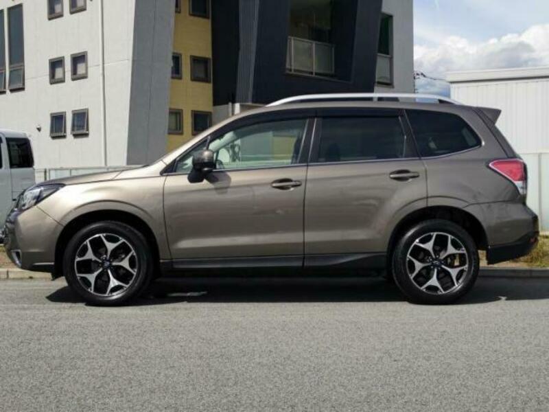 FORESTER-1