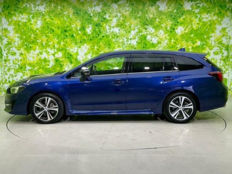 LEVORG-1