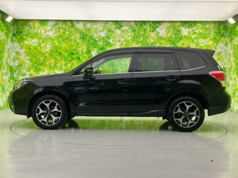 FORESTER-1