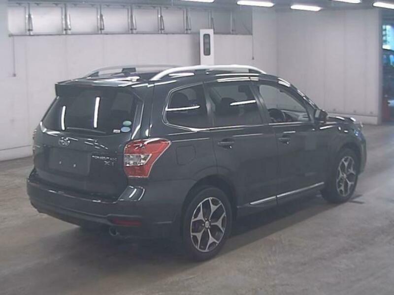 FORESTER-1