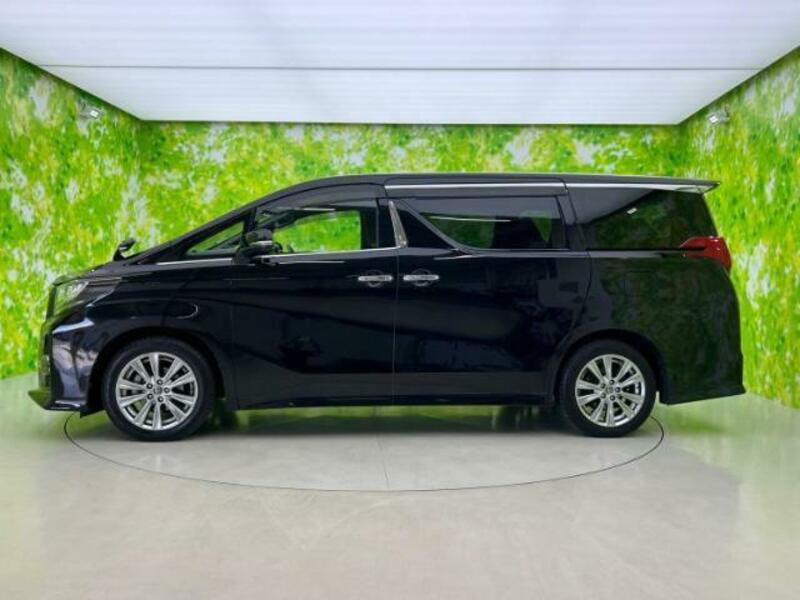 ALPHARD-1