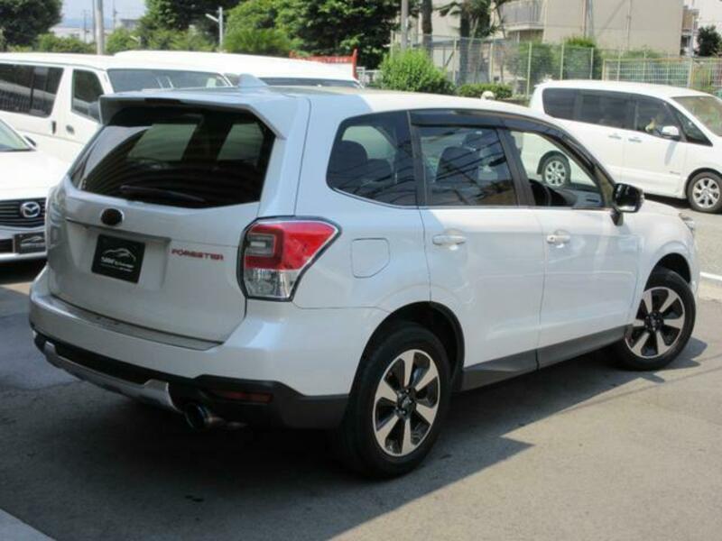 FORESTER-1